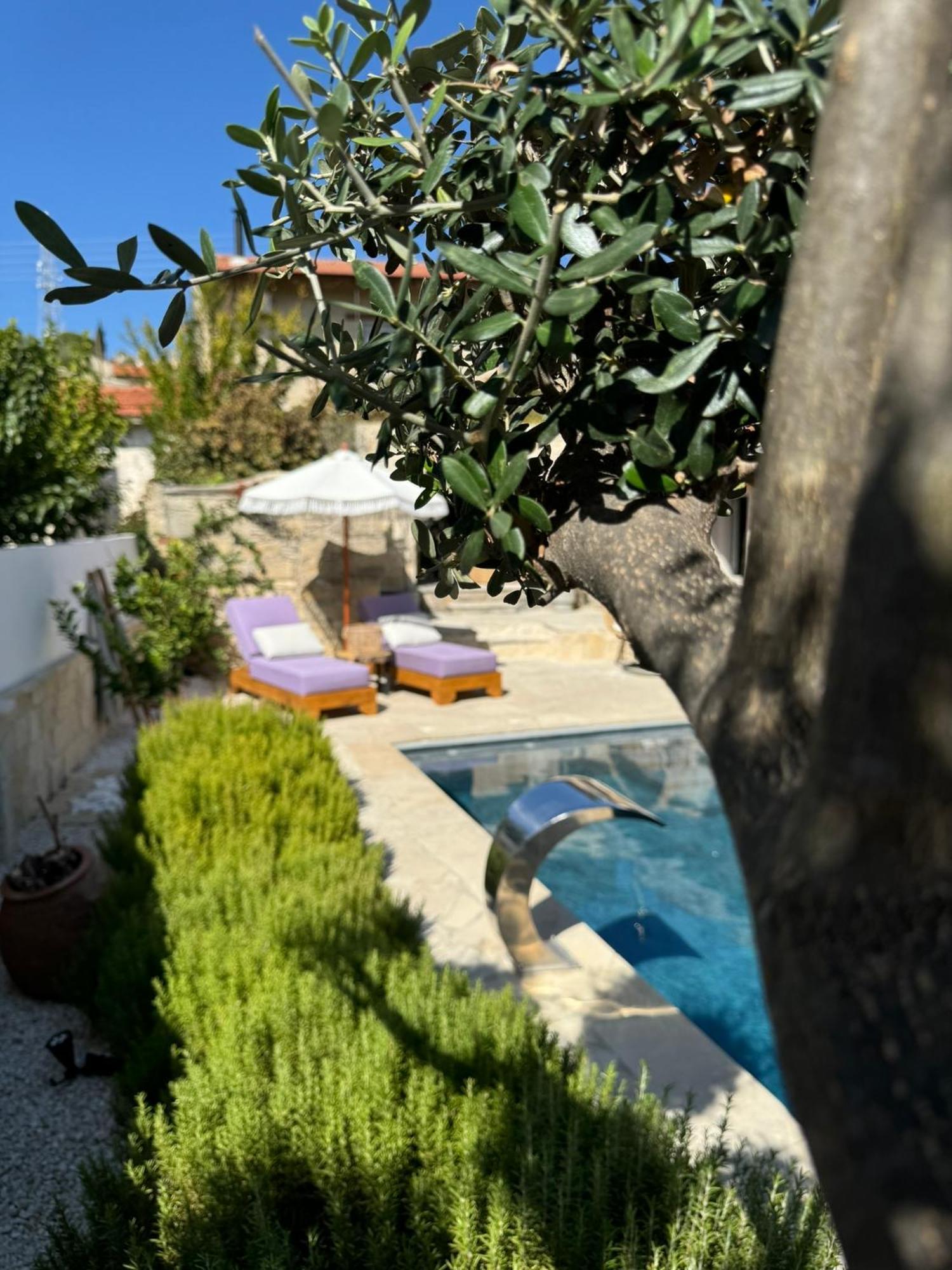 Fig&Olive Luxury One Bedroom Boutique In Pachna Limassol Bagian luar foto